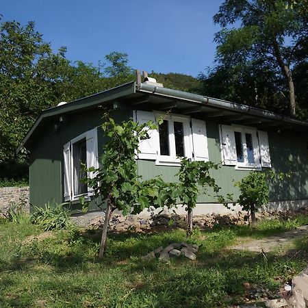 Вилла Badacsony Vendeghaz Бадачоньтёрдемиц Номер фото